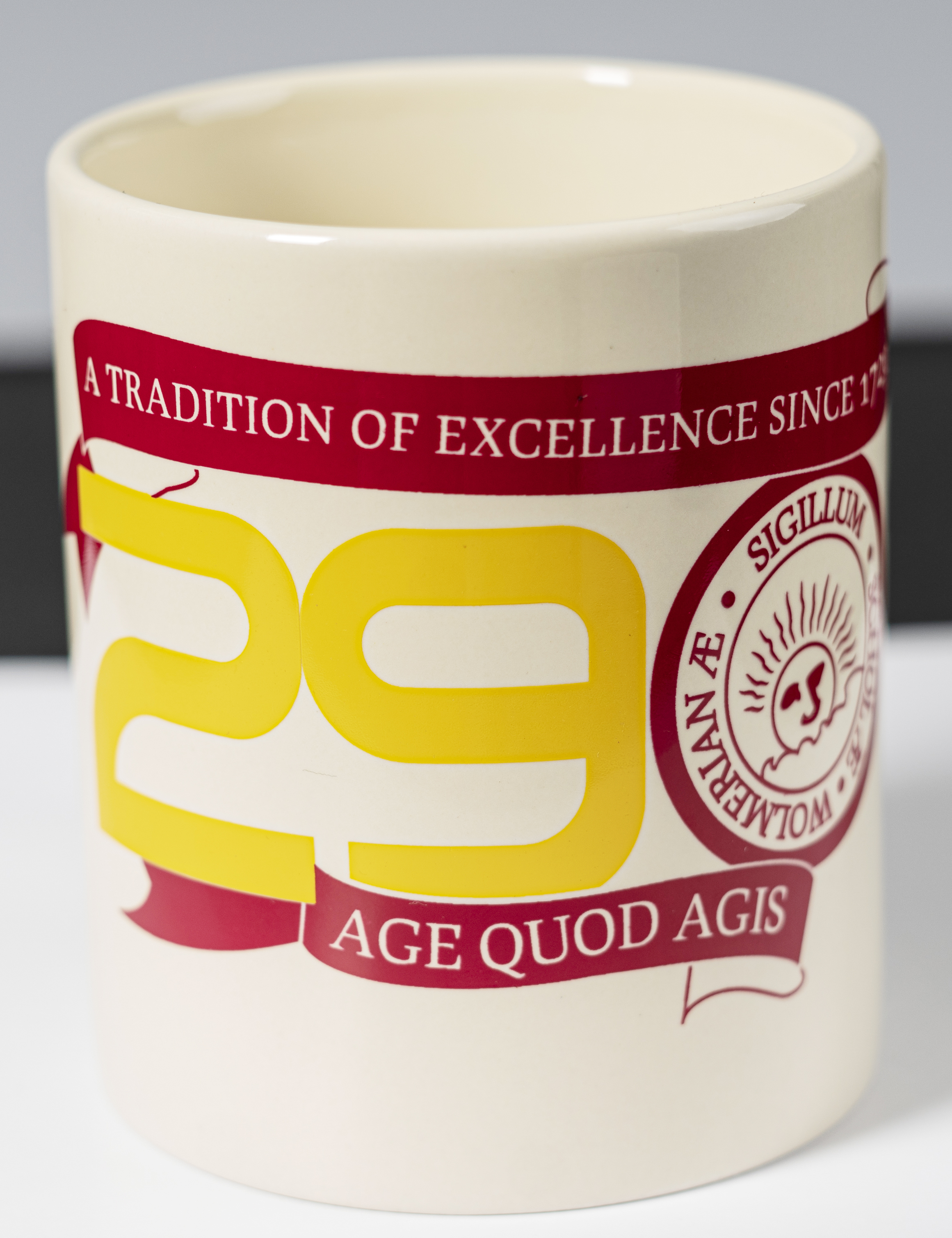 Wolmer's 290th Anniversary Mug